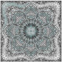 Judys Prairie Star_set-L00989* (image for) Judys Prairie Star_set-L00989*